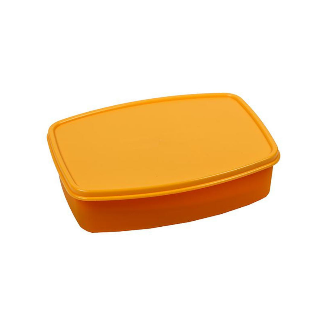 Nayasa Witty Lunch Box